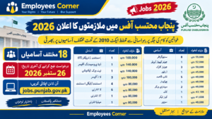 Read more about the article Office of the Ombudsman Punjab Jobs 2026 – Apply Online for Multiple Vacancies